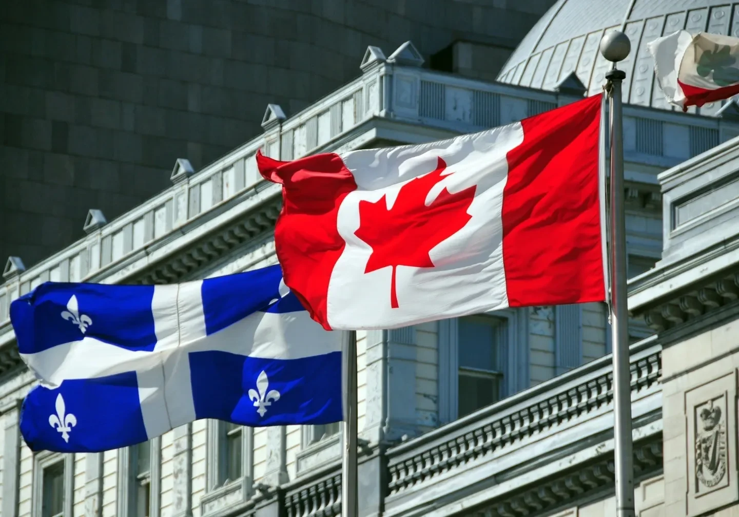 A bunch of flags flying in front of some buildings